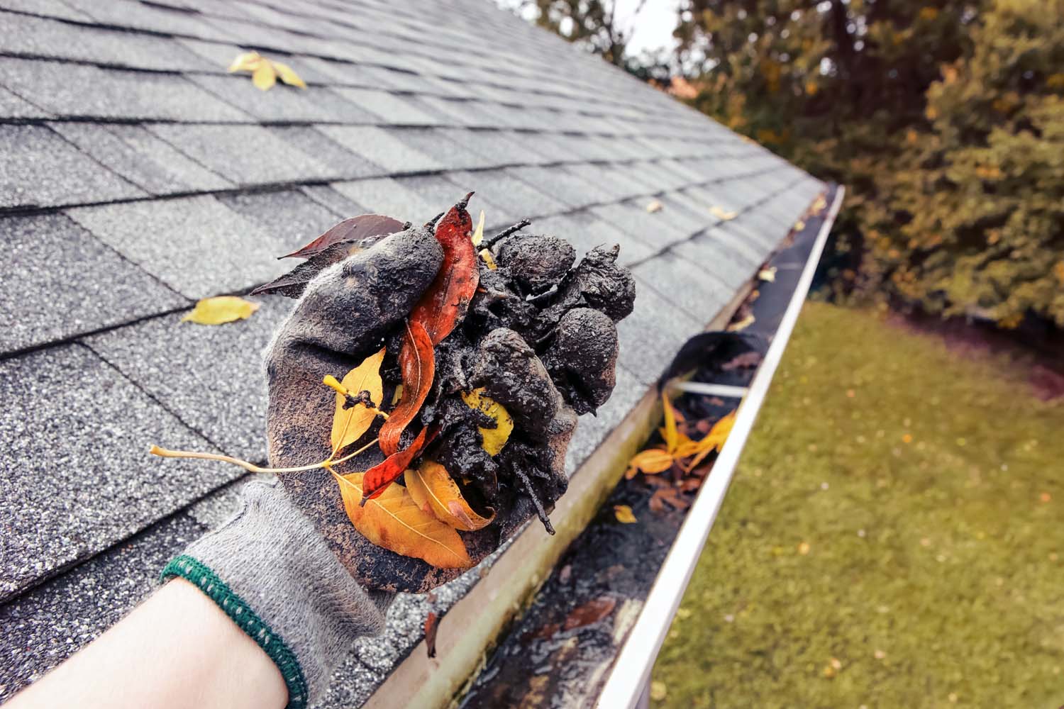 Gutter Cleaning in Essex